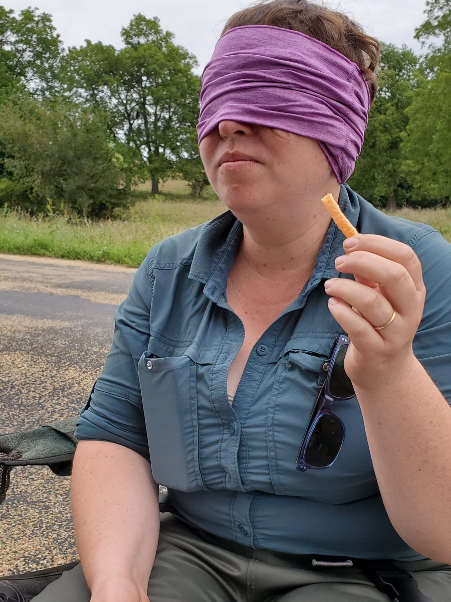 HanschuJanaye's tweet photo. Is there a flavor difference between the three different colors of Veggie Straws? Blind folded taste tests.

No. The answer is no. Everything is starchy. However, possibly texture difference. @madjofoster @persicaria61 #24HourSampling #MAPS2019 https://t.co/Cb4Fm9cgoI