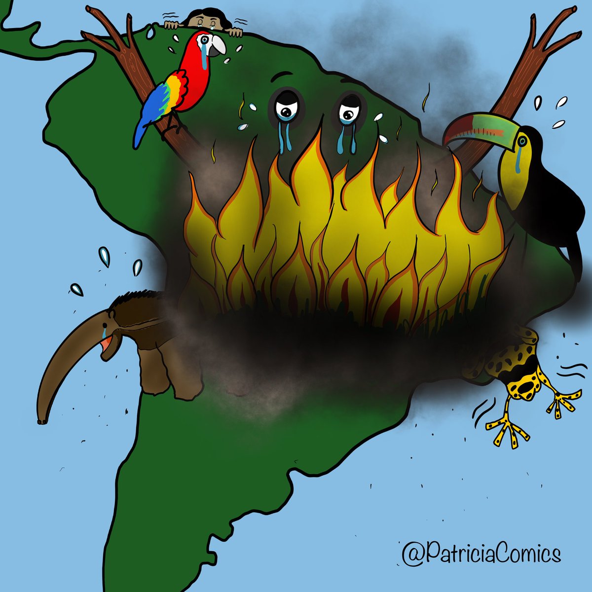 Amazonia... #24agosto #amazonie #amazonia 
<a href="/CaricaturasVe/">CaricaturasVE</a>