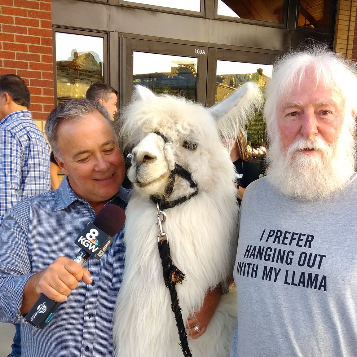MsArielKnox's tweet photo. @franklinleonard @WhitfordBradley @ewarren While we love @KGWRodHill (pictured below) and @CassidyQuinn , @Hello_Destiny & @WesleighOgle
We think Atticus should interview Caesar when they're in town!
#llamactivism #llamas4progress #imwiththellama https://t.co/lJTjeP0l9z