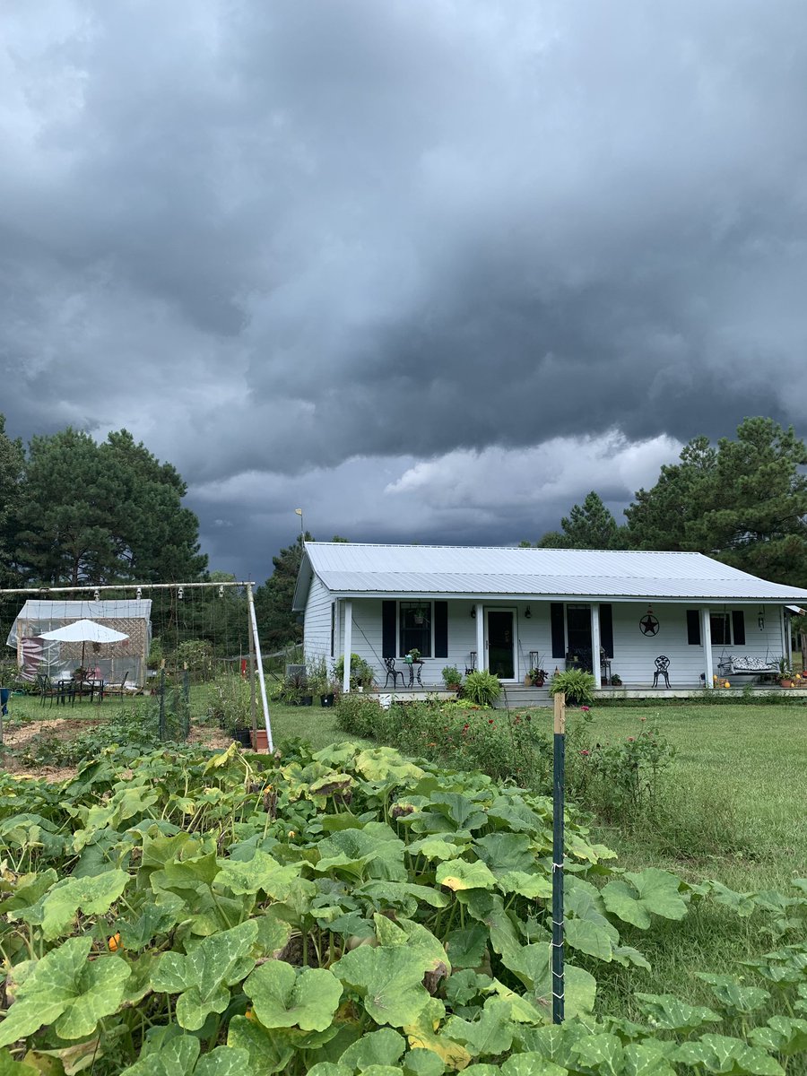 iwetmyplantsnet's tweet image. Why didn’t I get outside to do chores much earlier! #stormcoming #abouttogetwet #smithfarm #rain