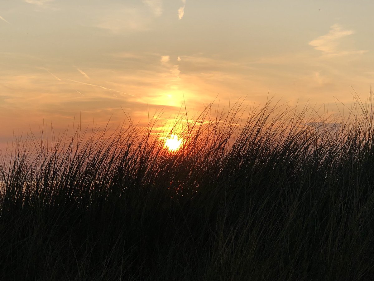 JeanineDijkhuis's tweet photo. 😍 @blooming @BergenaanZee @BergenAan #beach #sea #swim #sun #sunset #sunsetbeach #bergenaanzee #bergenaanzee_com #bergenaanzee2019 #bergenaanzeebeach #northsee #northseecoast #dunes https://t.co/dFNnnlVLag