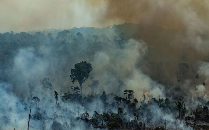 noticierovv's tweet image. Brasil despliega a sus militares para la lucha contra el fuego en la Amazonía bit.ly/33Xmfgg