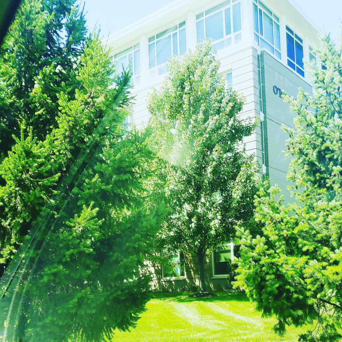 Laurie A Smith (@mrsgarysmith77) on Twitter photo 