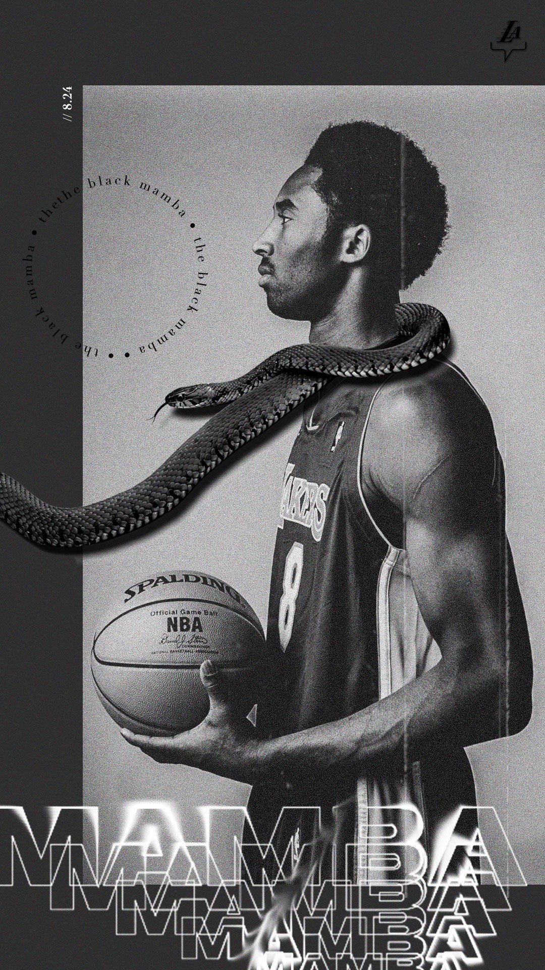 Black Mamba HD phone wallpaper  Pxfuel