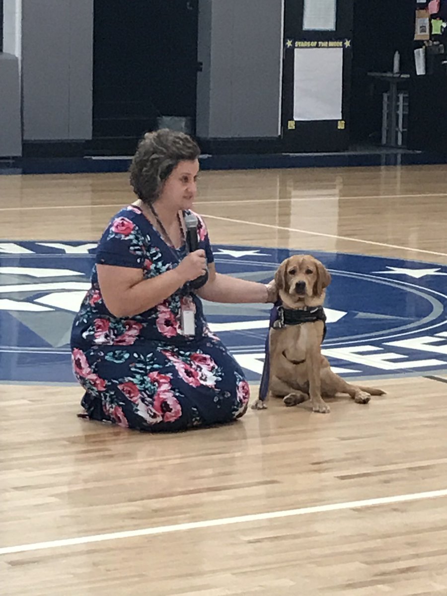 dist126_stony's tweet photo. Our Stony Creek Stars and Stella were so happy to meet one another this week! #weare126 #stony126 #therapydog #animalsinschools #comfortanimals #love https://t.co/v2dDmGbFUR