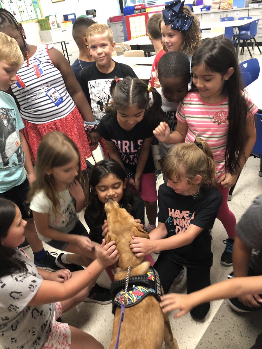 dist126_stony's tweet photo. Our Stony Creek Stars and Stella were so happy to meet one another this week! #weare126 #stony126 #therapydog #animalsinschools #comfortanimals #love https://t.co/v2dDmGbFUR