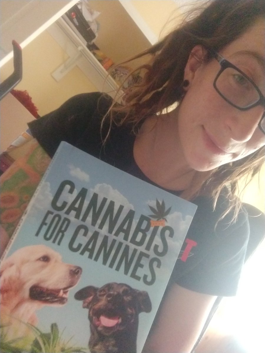 CannaContentLLC's tweet photo. I wrote a book! #PotForPets #CannabisWriter #WorkInWeed https://t.co/IhnGr6H5x4
