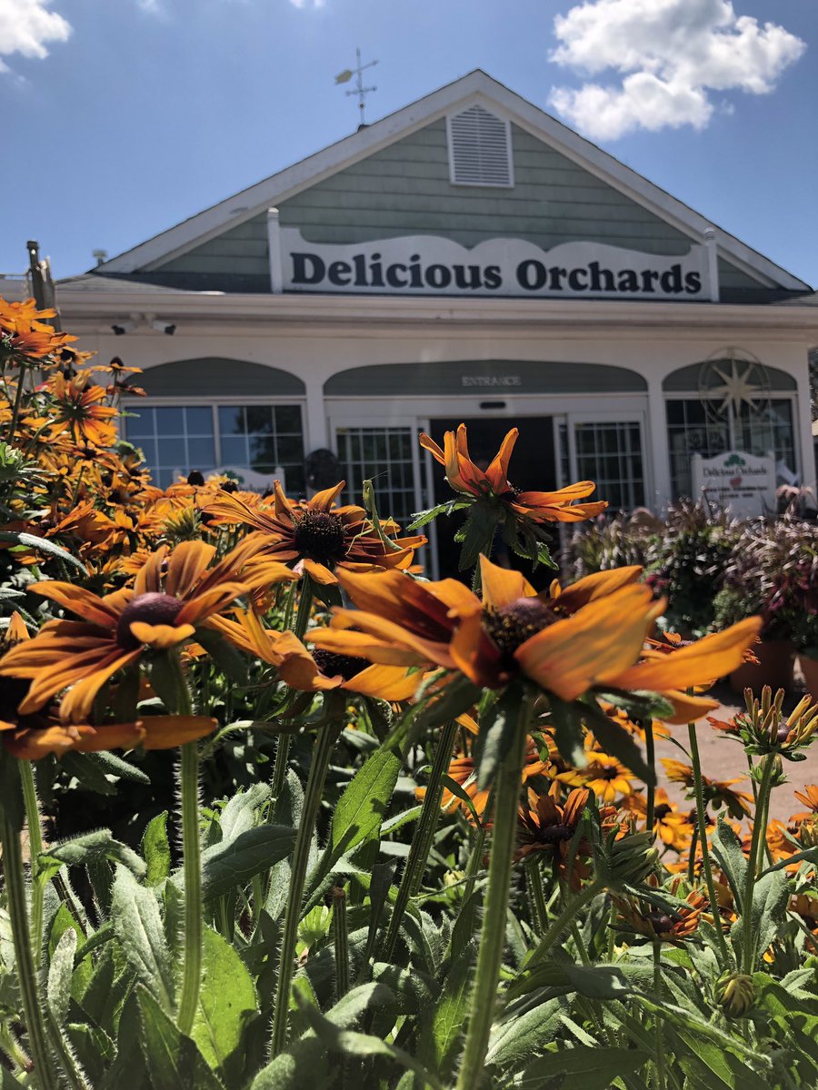 D_OrchardsNJ's tweet photo. 😎🍩💯 #saturdayvibes #weekendmood #blueskies #flowers #appleciderdonuts #DOfresh #august #deliciousorchards https://t.co/2Pv9ELN1o2