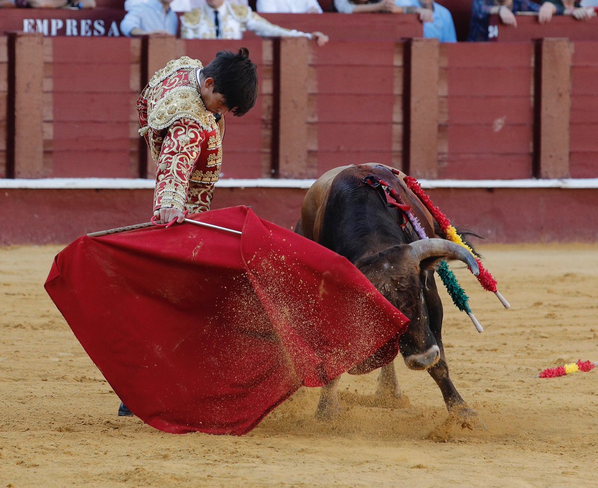 La Malagueta tweet media