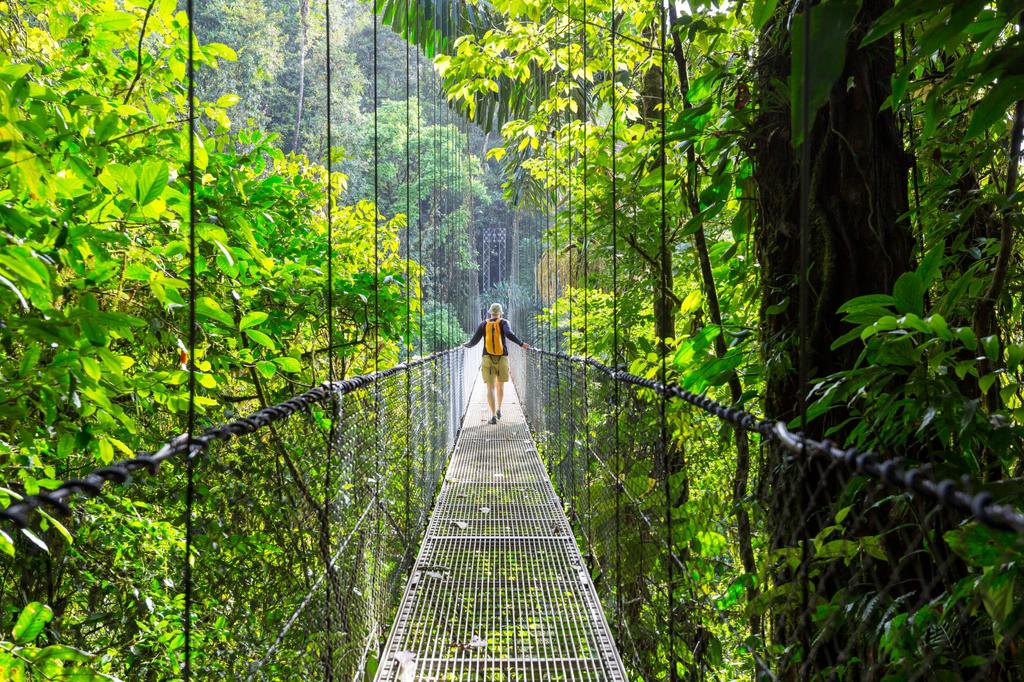 VadoApp's tweet photo. The Mistico Arenal Hanging Bridges Park, #CostaRica... 🌿

Today is the annual 'National Parks Day' in Costa Rica, and with 28 #nationalparks, and 26% of the country’s total area represented by protected areas, there is so much to #celebrate! 🙌

Have you been? https://t.co/n3xLk9bfOM