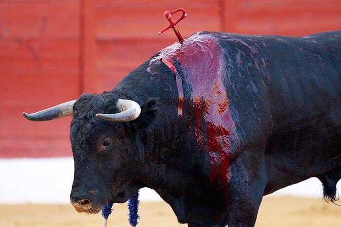 Laurent Baheux Photo tweet media