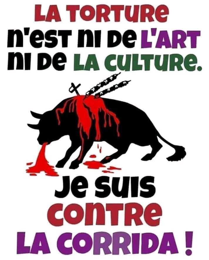 Laurent Baheux Photo tweet media