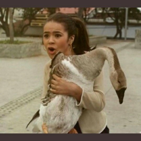 Shaft97's tweet photo. @programadamaisa @maisa eu indo pra sala com a minha amiga assiti o #programaDaMaisa https://t.co/eSkMx0RlL5
