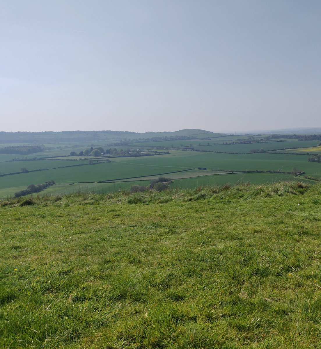 BALI786's tweet photo. #loveukweather #whipsnade https://t.co/jV3HbHBLoQ