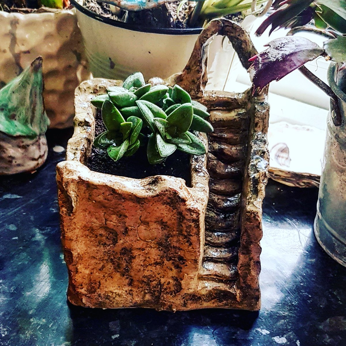 luckytiger199's tweet photo. Succulent Saturday 💛🌱

#pottery #pottedplant #succulents #ruins #handbuiltpottery #plantpot #joy #luckytiger #creative #potterylove #exeter https://t.co/PqVjbSSEM3