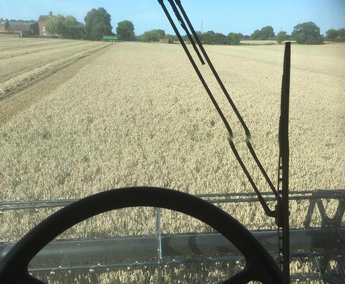 In zyatt wheat really pleased with the yields, just shows what can be achieved using biology and working with nature