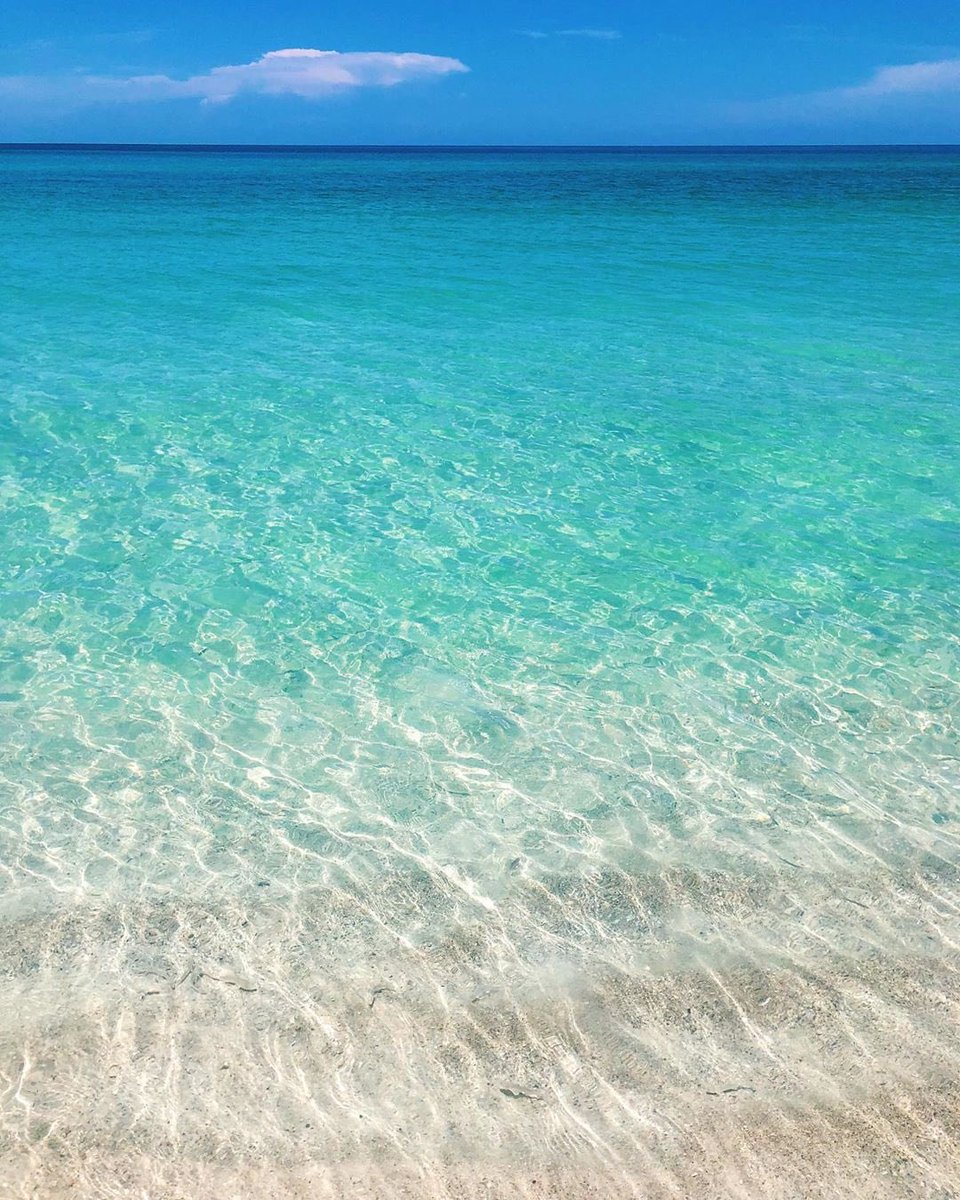 VISITFLORIDA's tweet photo. Who’s spending the weekend on the water? #LoveFL
.
📍: Anna Maria Island 📷: https://t.co/b0mRYqZ4Uf https://t.co/aZQpYXg0pi