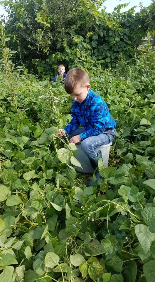 South Fork Hardware on Twitter "It's harvest season! We are here to