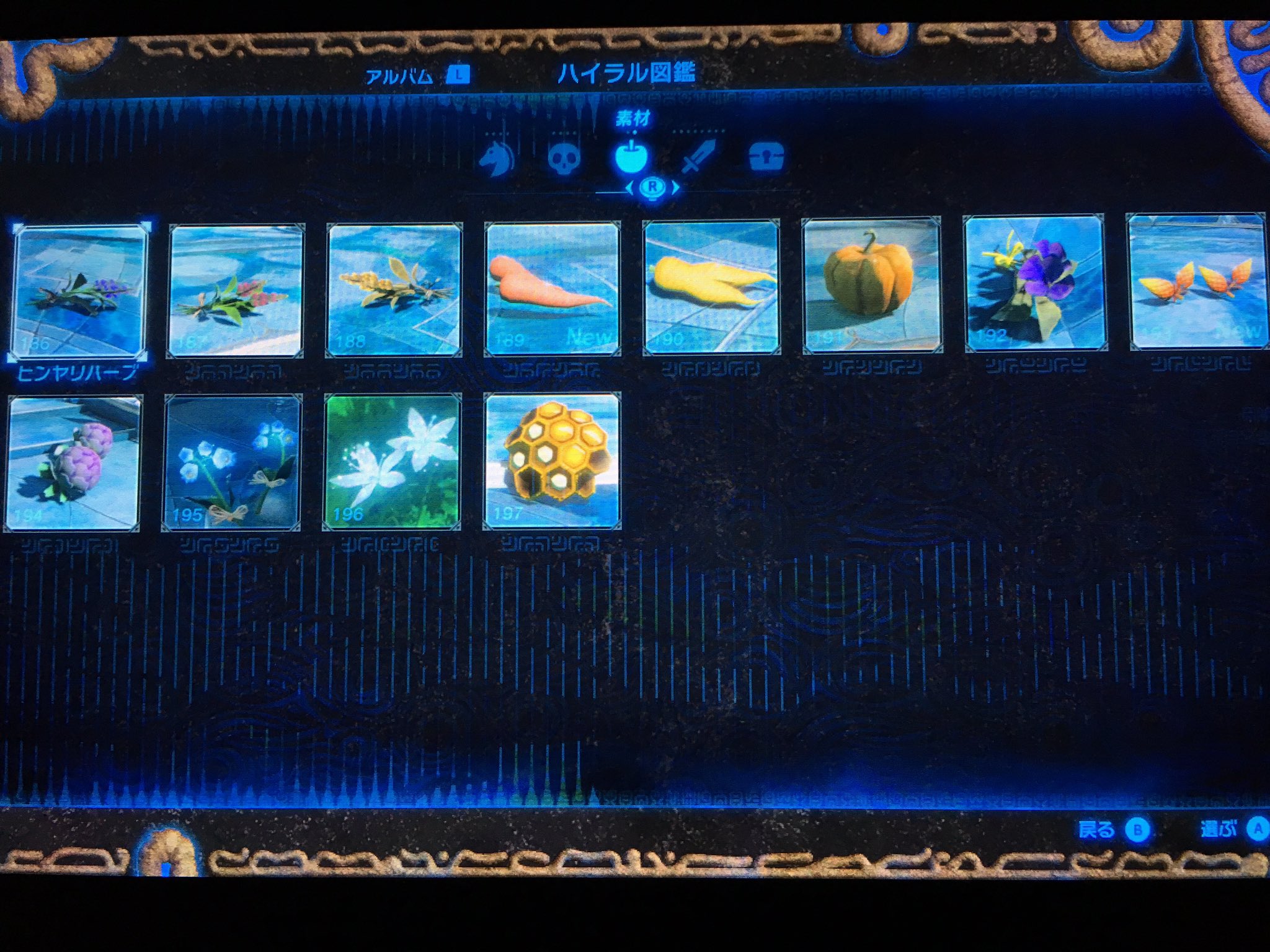 تويتر Gra 模試後悔ツイ廃bot على تويتر ゼルダの伝説 Breathofthewild Nintendoswitch ブレスオブザワイルド ハイラル図鑑 2番目に項目数の少ない素材欄コンプリートしました T Co Rusr5ovwb0