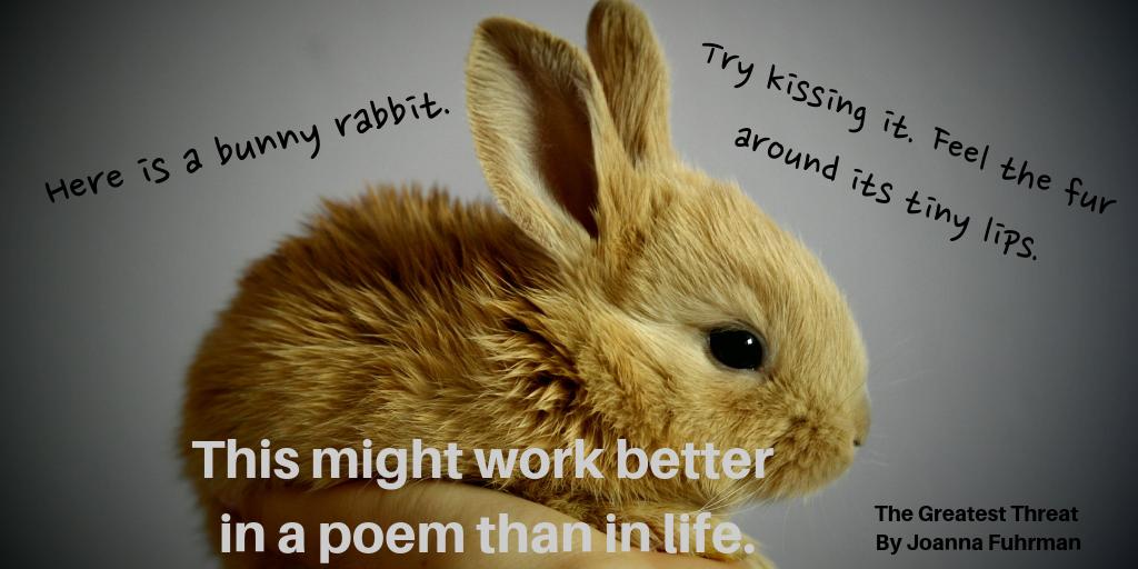 HMBMag's tweet image. Real life isn’t all about
frolicking in idea fields. 🌱

--The Greatest Threat by @JoannaFuhrman 
hotmetalbridge.org/the-greatest-t…