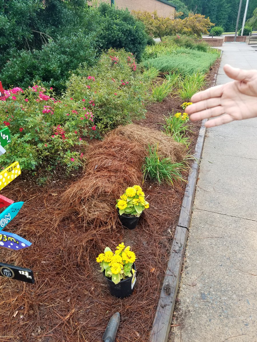 Eb_raidernation's tweet photo. Once a Raider, always a Raider! Thank you Julius Miller for choosing RMS as your Eagle Scout project site! https://t.co/Yy2DPvxGuh