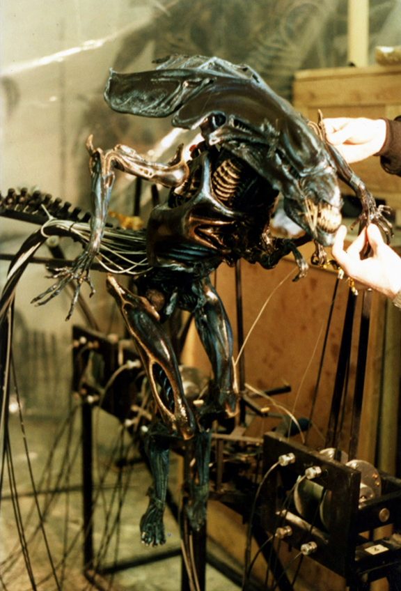 Alien Vs Predator Galaxy On Twitter A Look At The - alien vs predator xenomorph queen