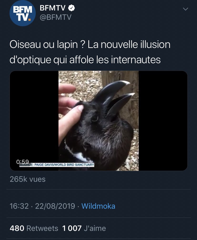 Top Des Screen tweet media