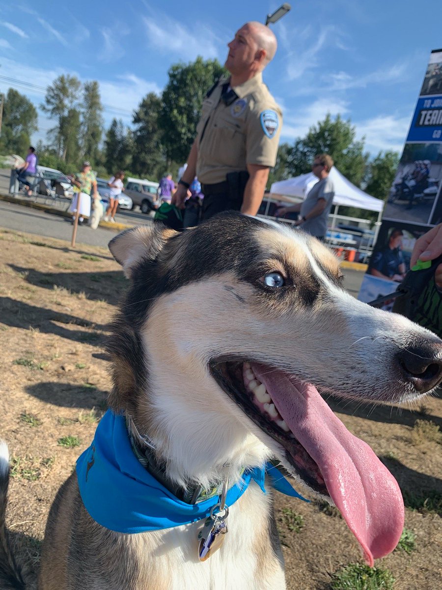 Warm1069's tweet photo. We're having a blast at @AuburnHumane's #Barkfest today! The 5k is already underway, we're excited to see the winners of more dog contests coming up soon!
#warm1069 #auburnvalleyhumanesociety #seattledogs https://t.co/7r9SRVsdrx