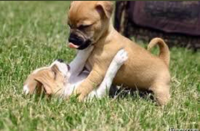 Olludre's tweet image. What Liverpool is currently doing to Arsenal. 3-0🤣😂🤣😊🤣😊🤣