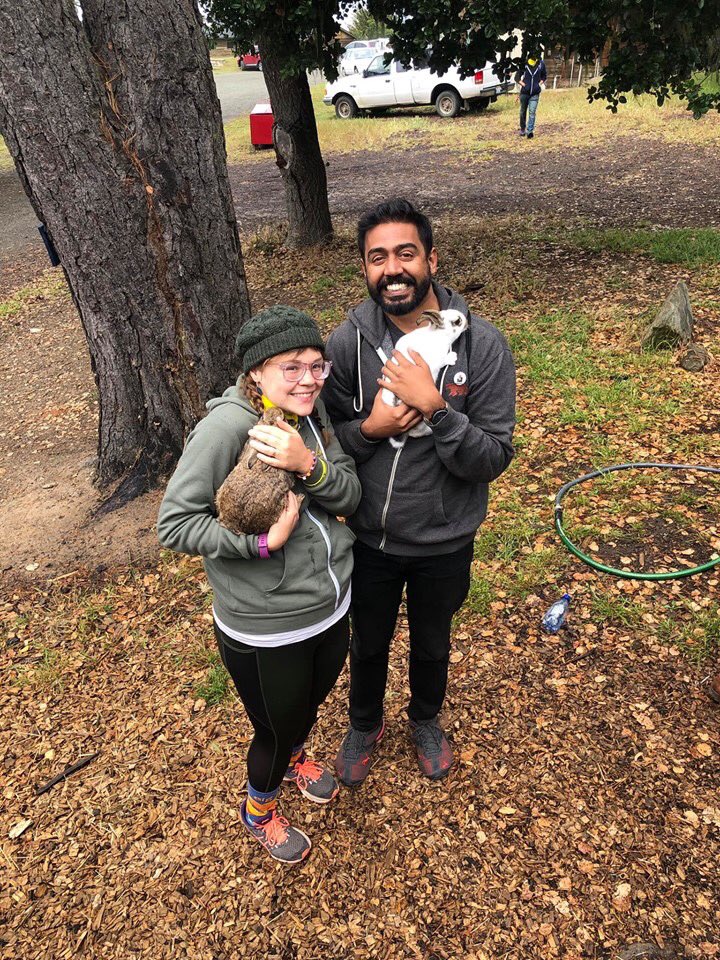 Hamir Kalyani Stan Account On Twitter Haha Even Tho This Is A Crow It Took Me Back To The Time I Met My Favorite Bunny Ever The Cuteness Of This Bunny twitter