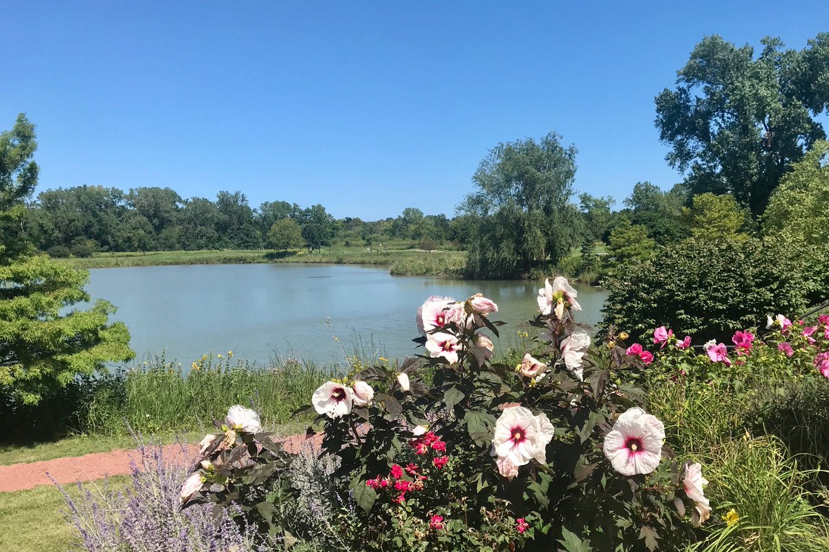 MichaelHeimlich's tweet photo. #View at Techny #Prairie  #Park #pond #flowers #trees #blue #sky #grass #summer #sunny #Northbrook #IL #August 24 2019 1pm - Permission to Use with Credit Michael Heimlich @MichaelHeimlich; #ILWX #Chicago #Weather #WeatherPhoto @NWSChicago @nb_parks #ThePhotoHour #StormHour https://t.co/t1nMn2e7ES