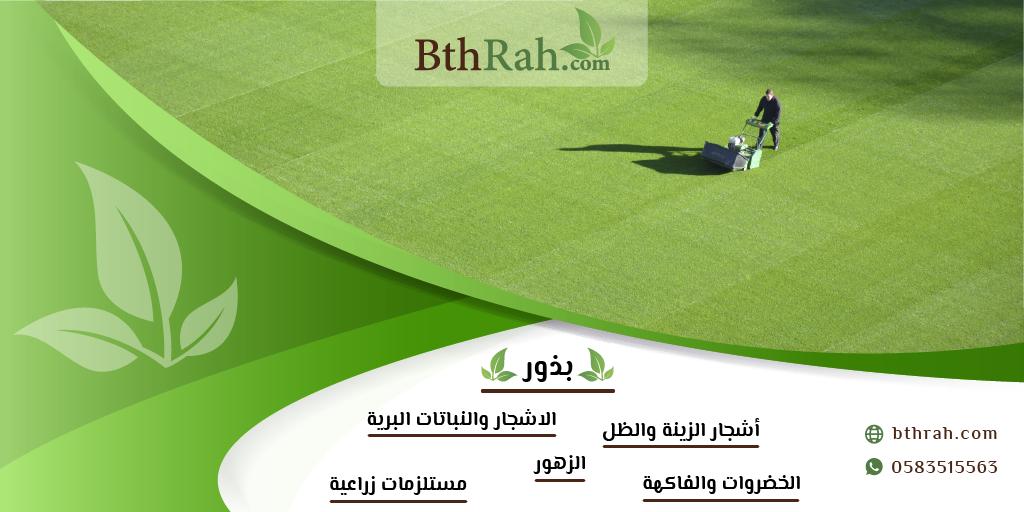 bthrahSA's tweet photo. موقع ومتجر #بذرة مختص ببيع بذور النباتات والأشجار البرية🌱
بذور أشجار الزينة والظل 🌱 بذور الزهور و المتسلقات 🌱 
🌱مدونة زراعية 🌱

https://t.co/XrNALCP3co https://t.co/yODakslXqU