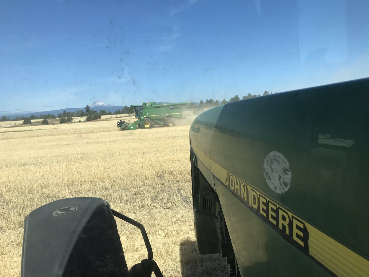 duling10's tweet photo. 67 acres remain and we will have finally finished! #wheatharvest19 #SaturdayVibes https://t.co/hpODWHu9Ot