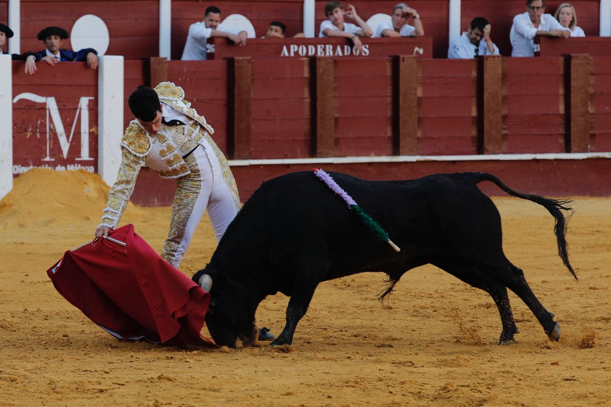 La Malagueta tweet media