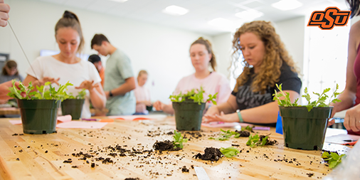 In addition to six greenhouses — including an isolated entomology greenhouse — the <a href="/GreenleafNrsy/">Greenleaf Nursery</a> Head House includes a modern classroom with plant prep areas where students can gain hands-on experience.