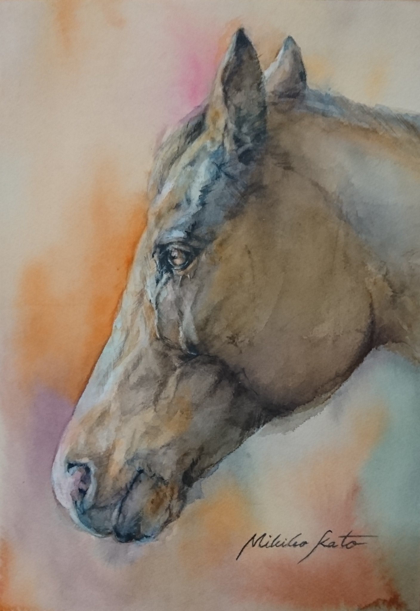 加藤みきこ🐴馬の水彩画家 on X: 
