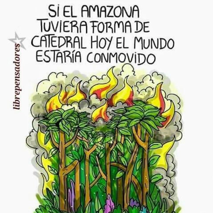 NGFederal's tweet image. #AmazonasSOS