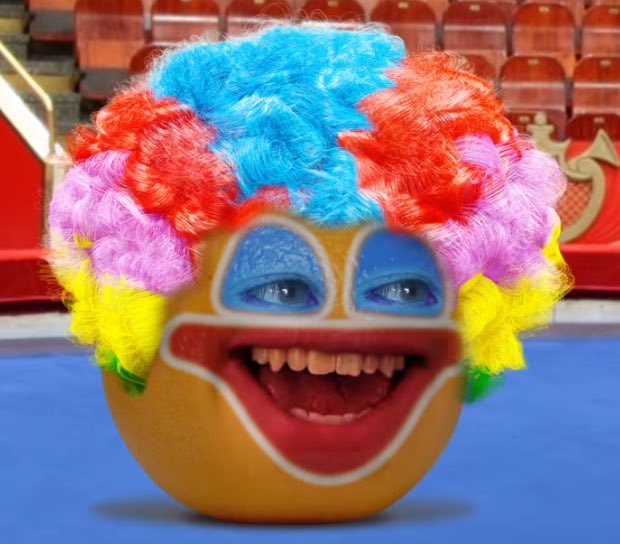 / how y’all be looking when you hate on my bby brigitte