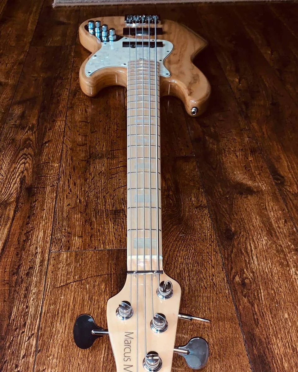 sireusaofficial's tweet photo. Sire exists because of passionate musicians like YOU.
#SireEvolution #Sire2ndGen
#SireExperience
📷 Worlando Polanco https://t.co/eAHKLtBlPb