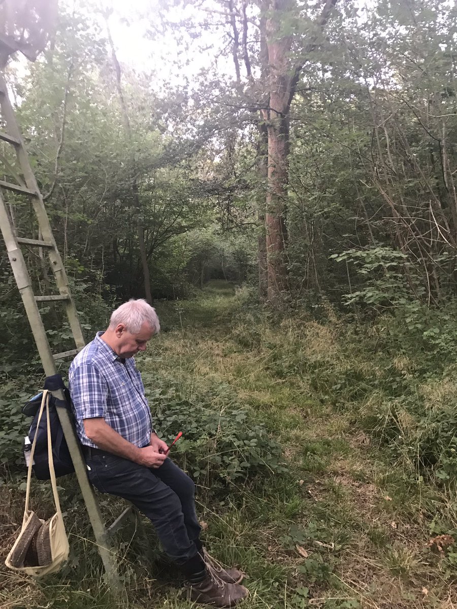 Out in this beautiful ancient woodland with <a href="/SuffolkBatGroup/">Suffolk Bat Group</a> preparing for 1.5 hours of bat recording.