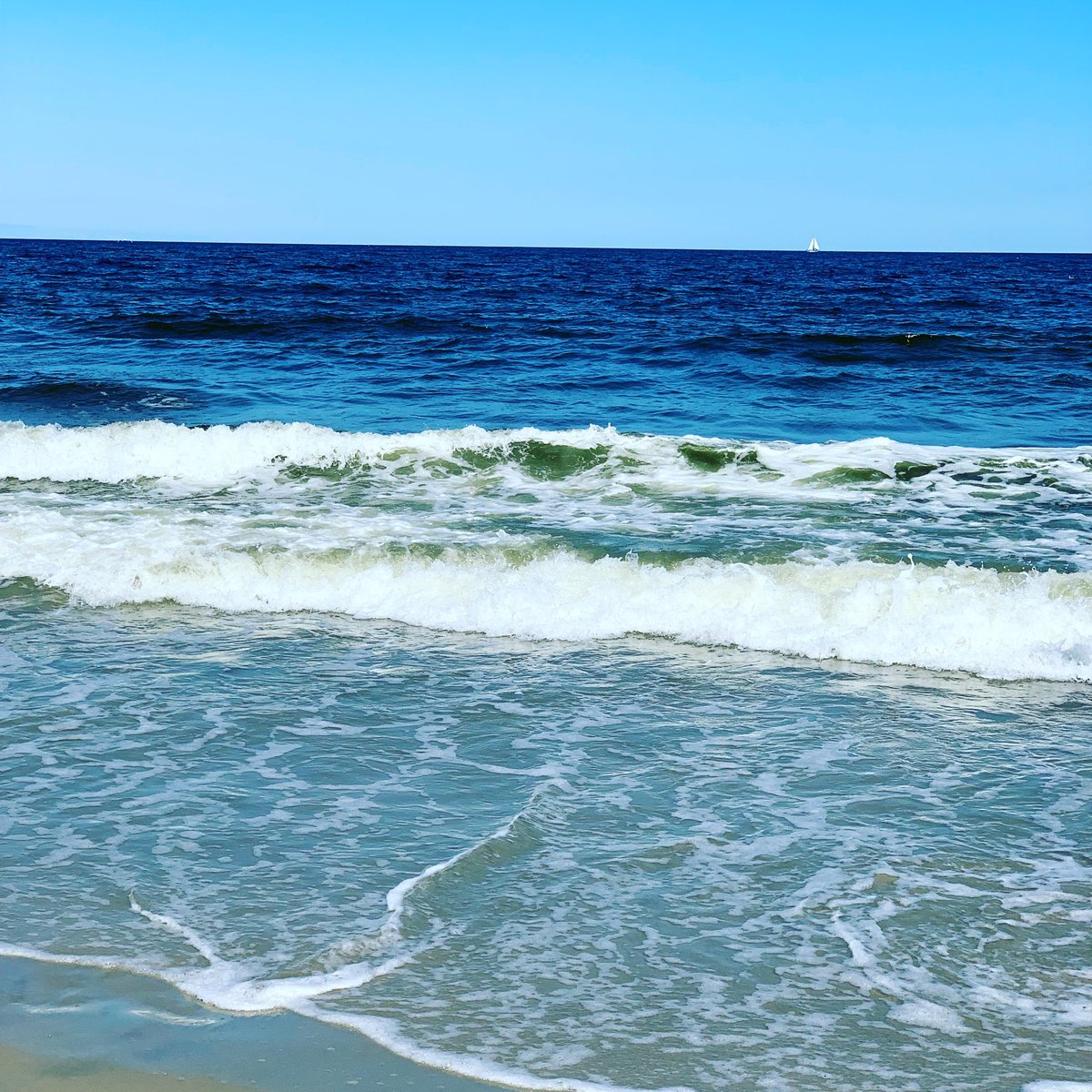 SarahBethBoss12's tweet photo. Ocean view #getrambled https://t.co/SY8qfDNiSs