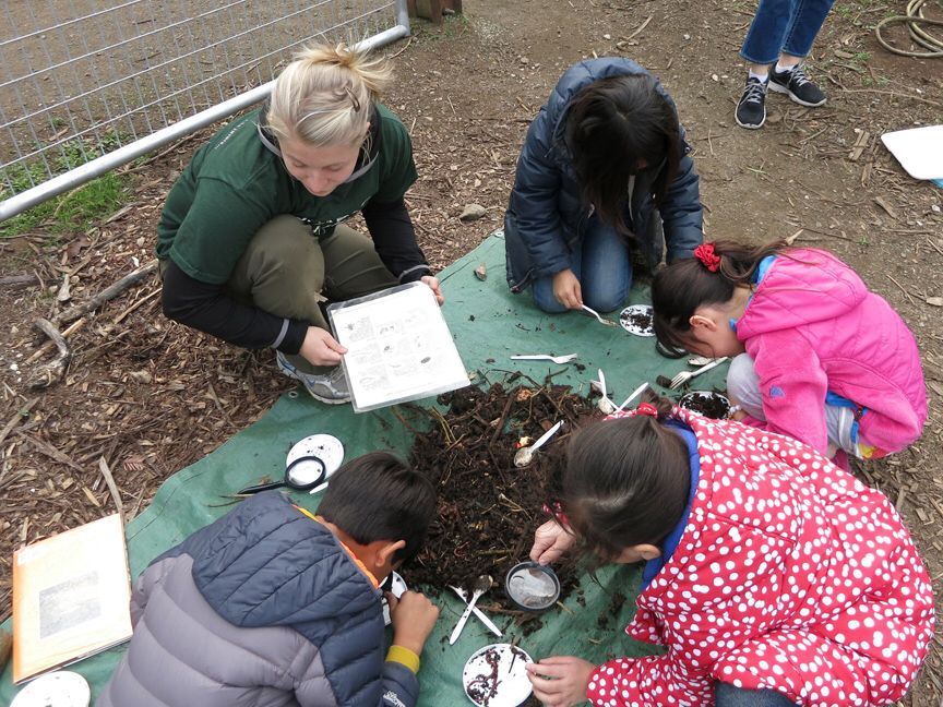 Hidden Villa tweet media