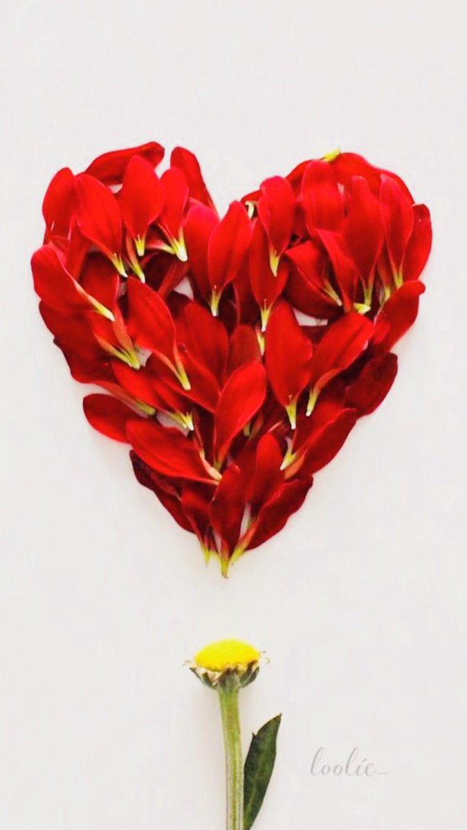 أنا لا أُحبك  فقط ....
كـل ما في الأمر أن نبضة من قلبي تَغنت ب إسمك مرة ..
وإلى الآن تُقلدهــا بقيةُ النبضات♡♡♡