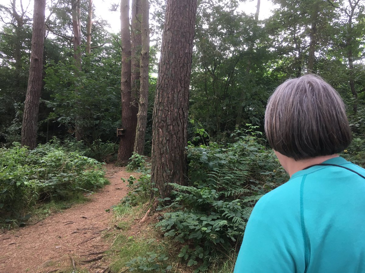 sarahmarley86's tweet photo. Day 10: Review for Frontiers completed and final edits on a draft manuscript back to first author. Reward? Chasing squirrels in the woods #RealHoliday 8, #AcademicHoliday 3 https://t.co/fSPxmvRzOP