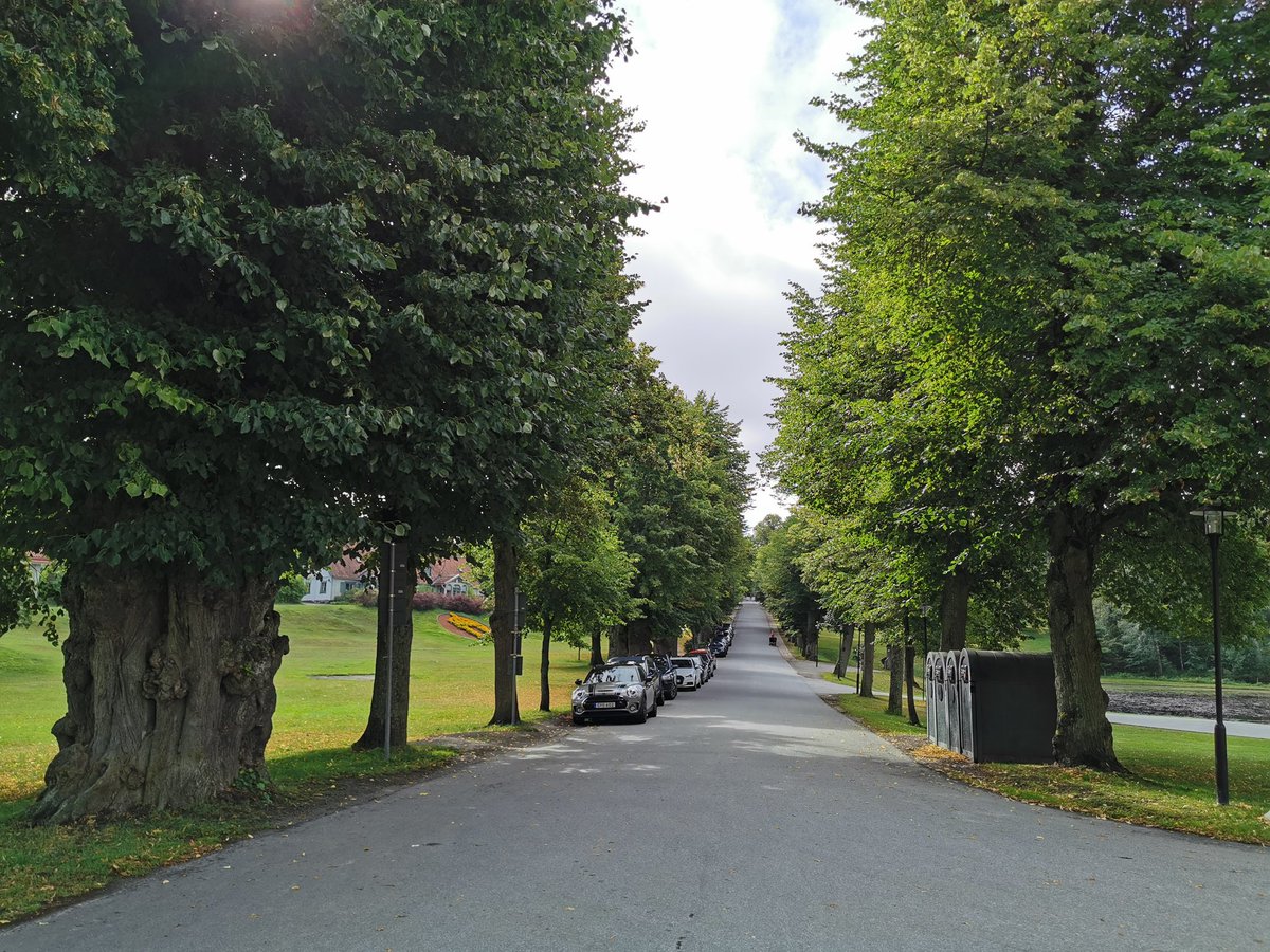 junastweeter's tweet image. Ulriksdal