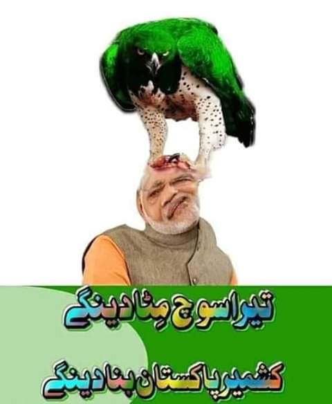 QatriPrince's tweet photo. @aliasPappu @Gabru_Ca @Ch_Zeeshan9 @iamhamzaabbasi لوڑا میرا gsy seena ke nerk was ka waqt hwa chahta hai rapistanio 👋 https://t.co/aegMxJlxnD