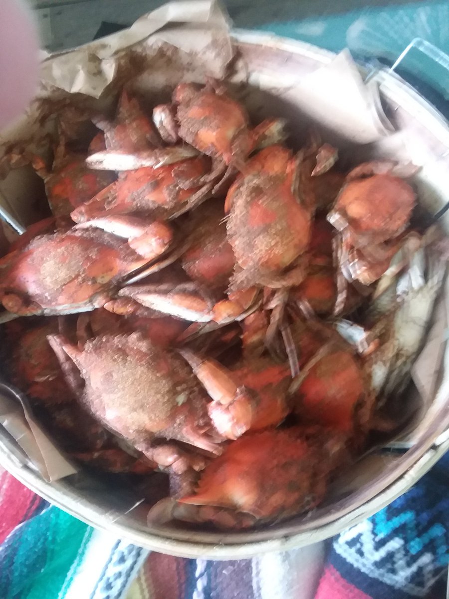 FreedomRider tweet media