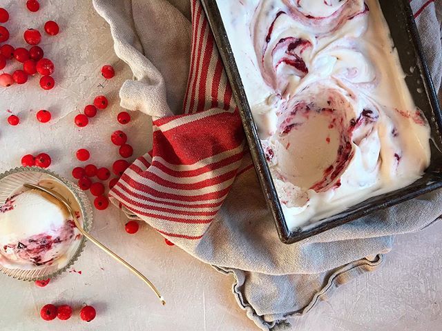 jessiesbakes's tweet photo. peeps, one-bowl no-churn red-currant ice cream. “churned” in my food processor - recipe coming soon (❤️). #justonedirtybowl #simplesweetseveryday
.
.
.
.
.
#jessiesheehanbakes #tastecooking  #f52grams  #foodwinewomen #kingarthurflour #feedfeed  #realsimp… https://t.co/sj2HFF2p3C https://t.co/9uGxiXoqqf