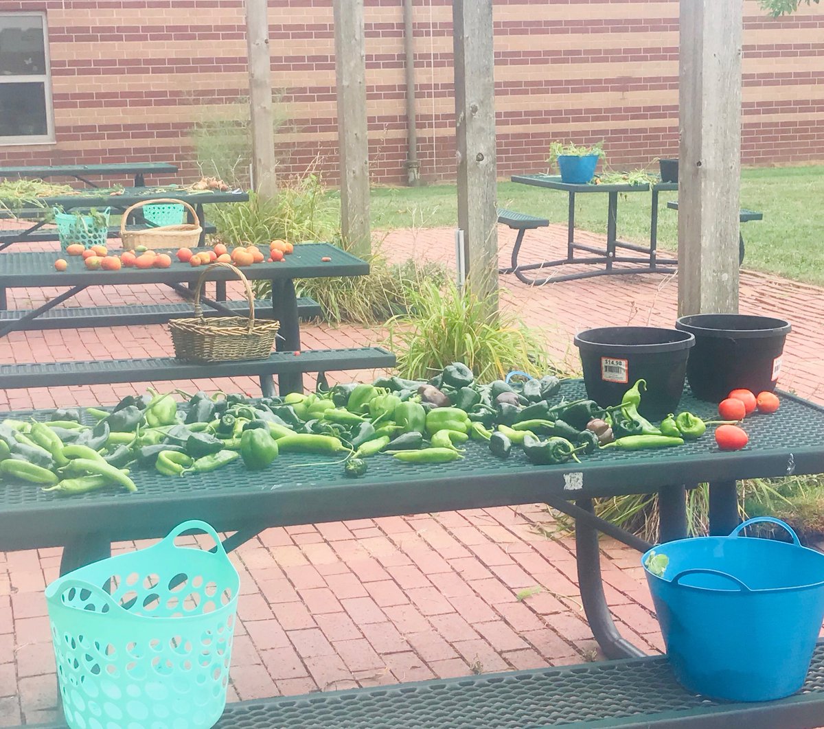 stephwest68's tweet photo. ⁦@SuncrestEagles⁩ Tomatoes, peppers, carrots oh my!  Garden Club headed up by Mrs. Rudd harvesting their crops and taking home bags of veggies!  Even plenty to share with staff!  Way to go Eagle gardeners! https://t.co/McECGpg7Ba