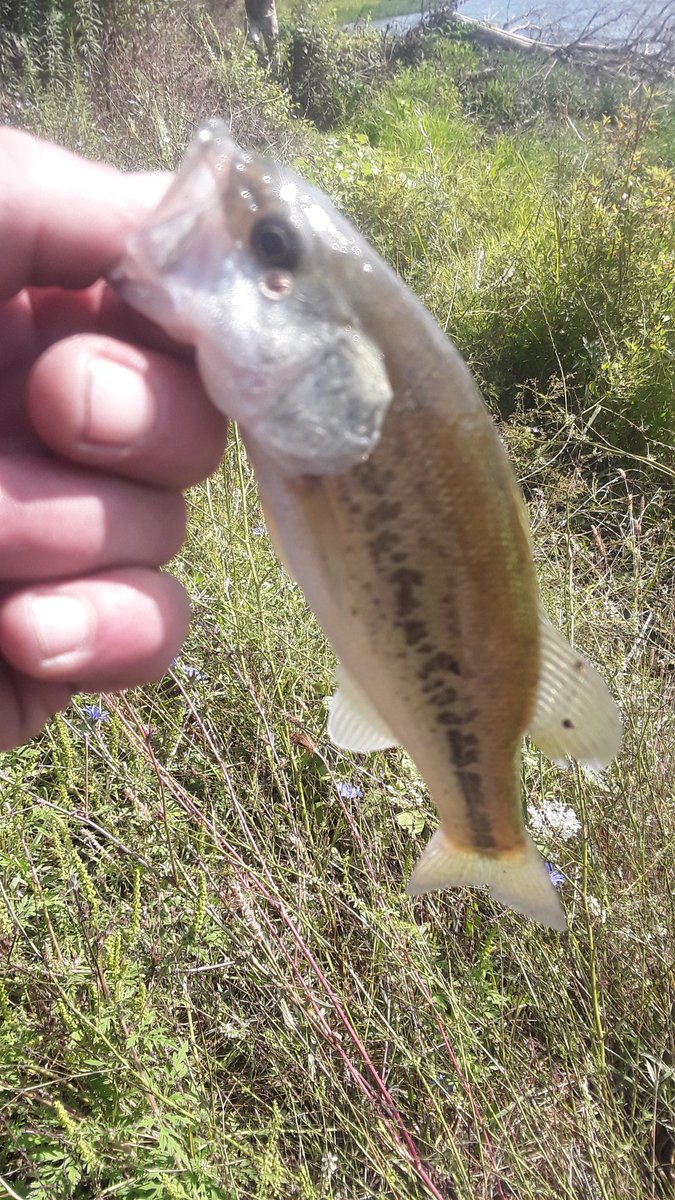 What a great day to do some kayaking and lil fishing ...no really they were all tiny today!😂